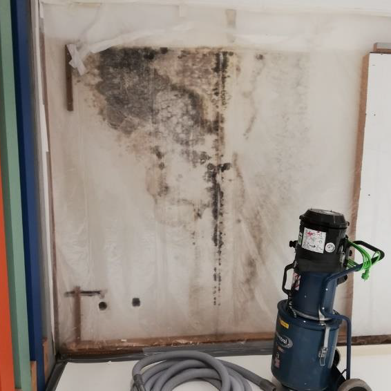 großflächiger Schimmelbefall an der Wand nach Entfernung eines Schrankes Der Schimmelbefall an der Wand stellt eine Gesundheitsgefahr dar und muss zeitnah fachgerecht beseitigt werden.